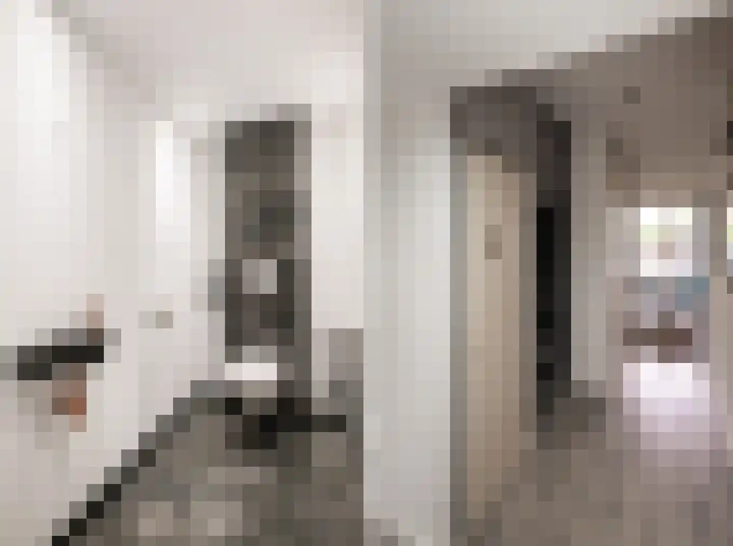 Staringstraat 41 Oss thumbnail 7