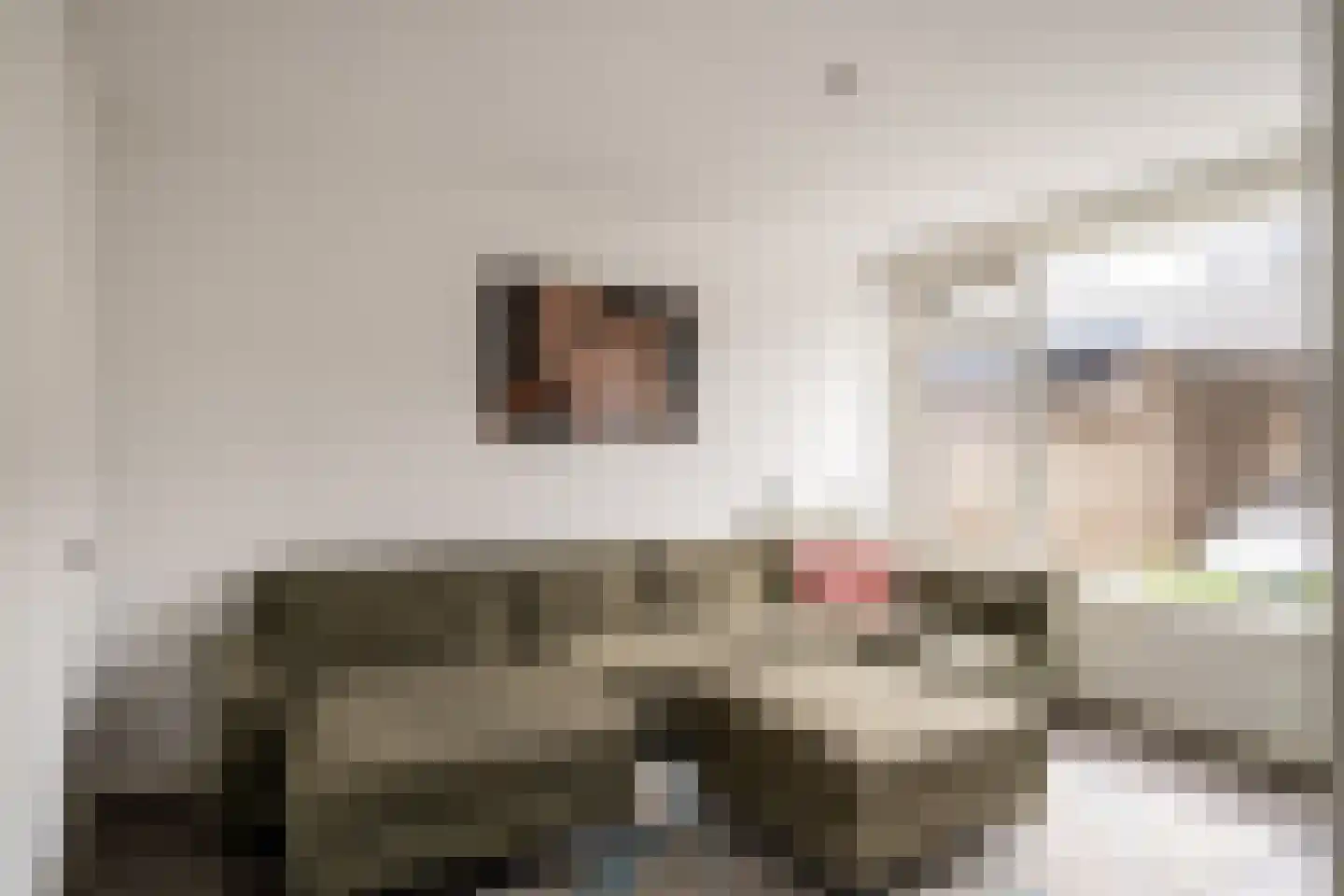 Staringstraat 41 Oss thumbnail 8