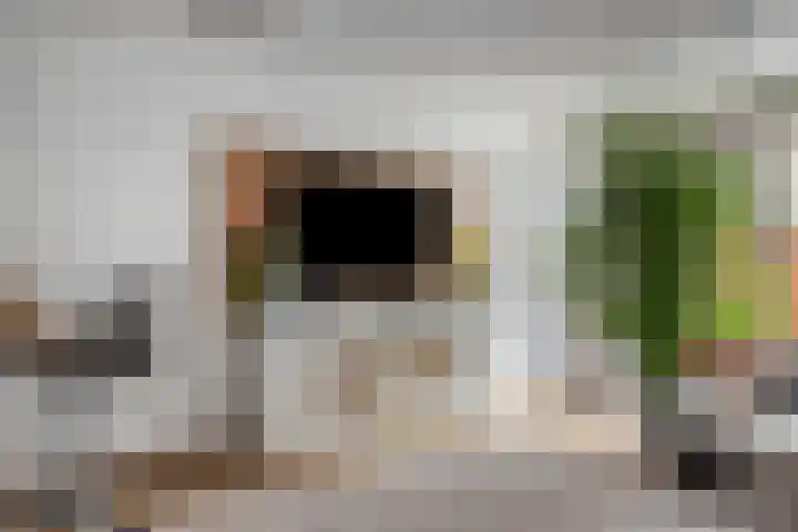 Staringstraat 436 Oss thumbnail 12