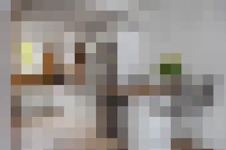 Staringstraat 436 Oss thumbnail 13