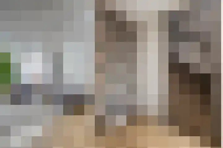 Staringstraat 436 Oss thumbnail 16