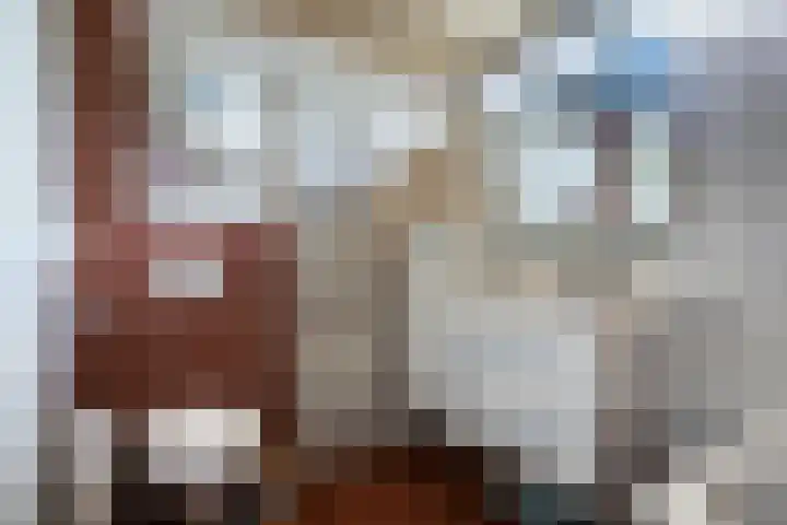 Staringstraat 436 Oss thumbnail 23