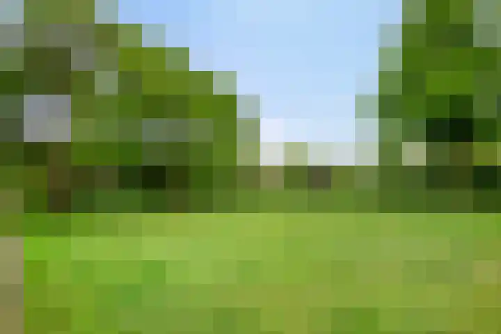 Staringstraat 436 Oss thumbnail 36