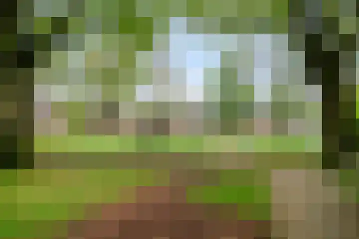 Staringstraat 436 Oss thumbnail 38