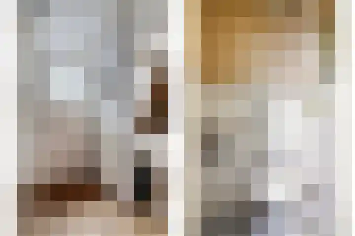 Staringstraat 436 Oss thumbnail 8