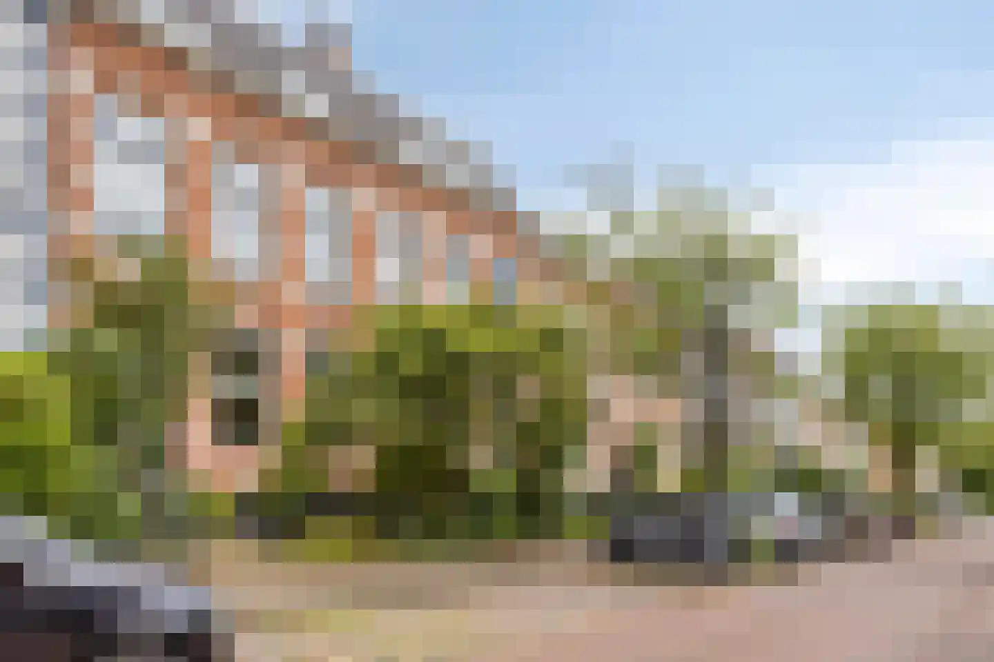 Staringstraat 46 Arnhem thumbnail 39