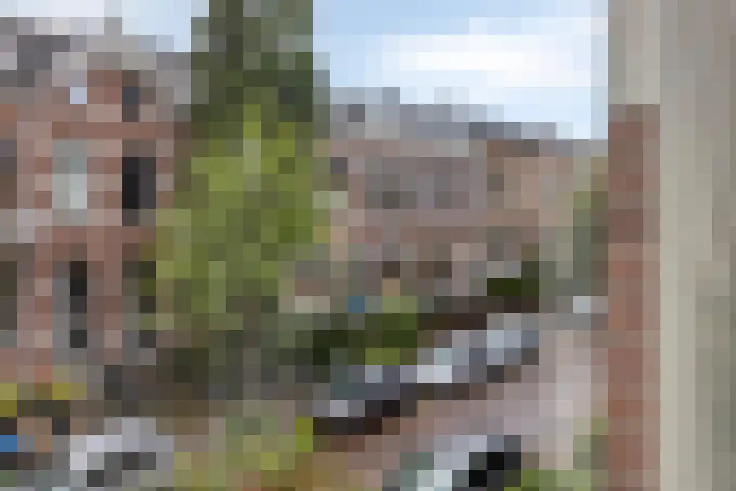 Staringstraat 46 Arnhem thumbnail 6