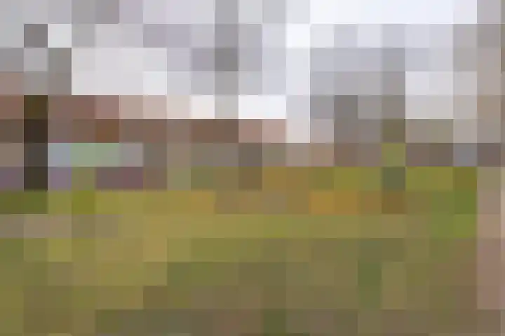 Staringstraat 47 Tilburg thumbnail 31