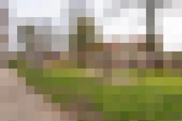 Staringstraat 47 Tilburg thumbnail 32