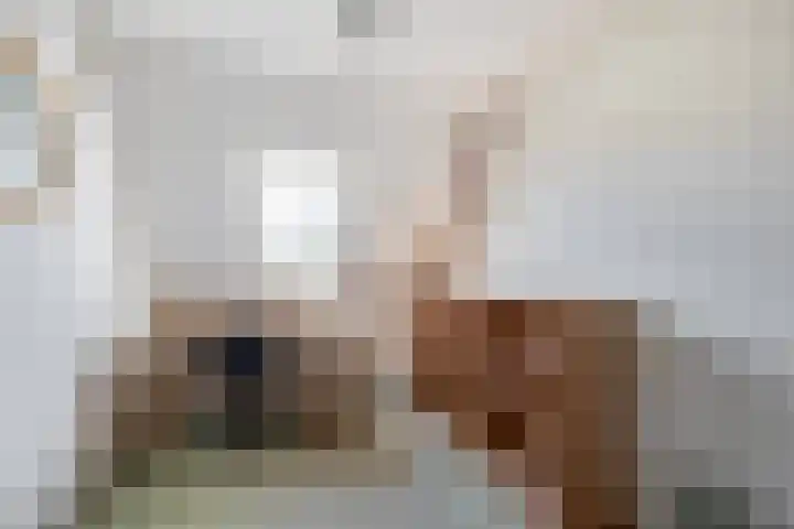 Staringstraat 48 Zevenhuizen thumbnail 15