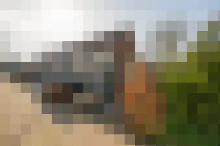 Staringstraat 48 Zevenhuizen thumbnail 25