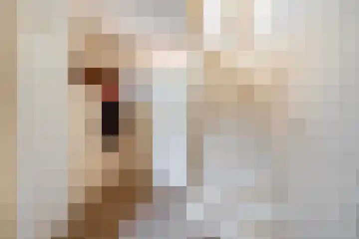 Staringstraat 48 Zevenhuizen thumbnail 5