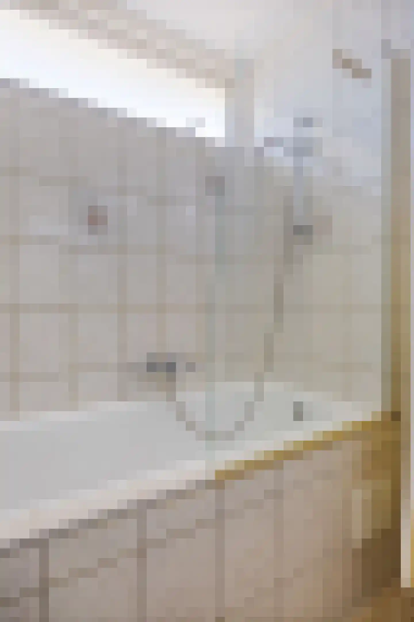 Staringstraat 482 Oss thumbnail 27