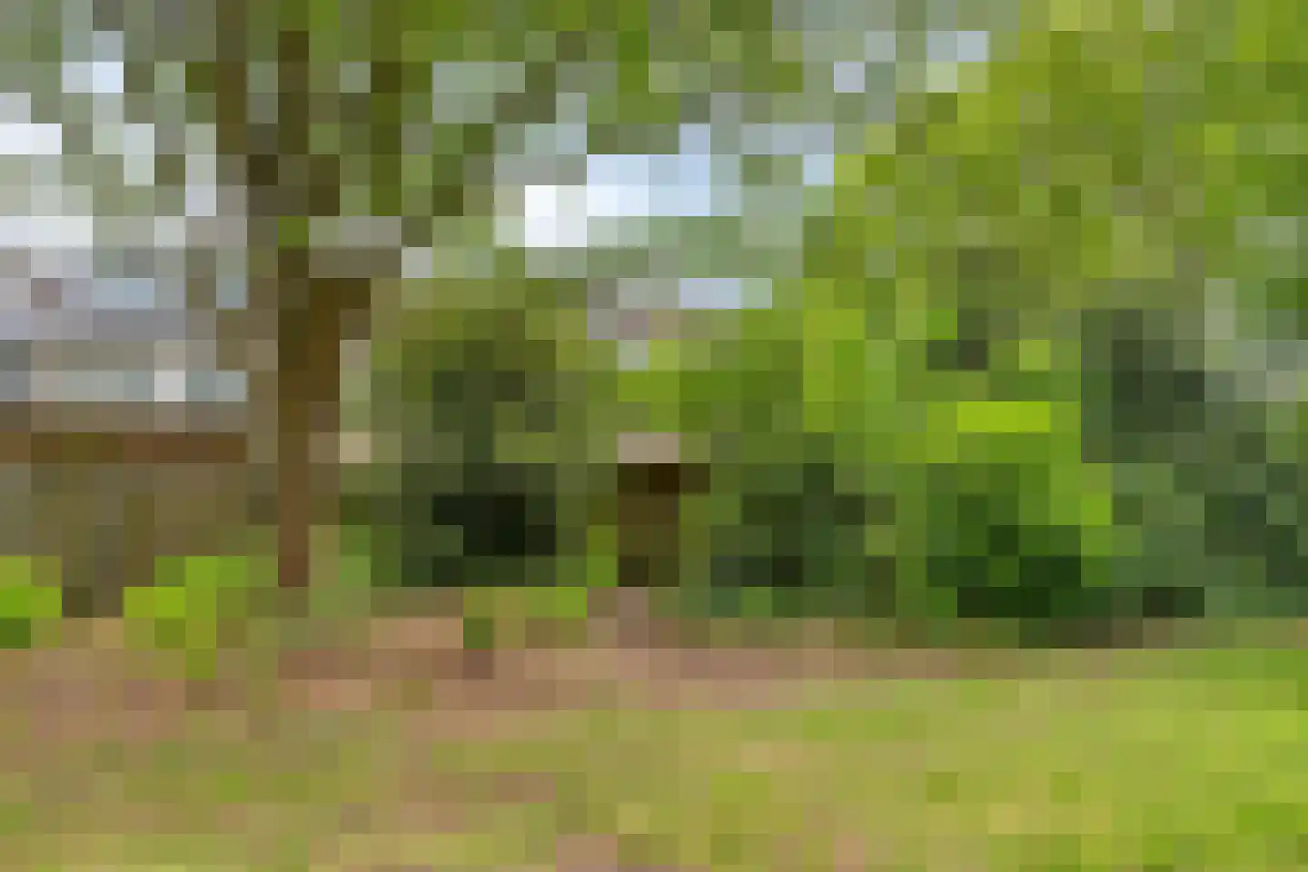 Staringstraat 482 Oss thumbnail 45