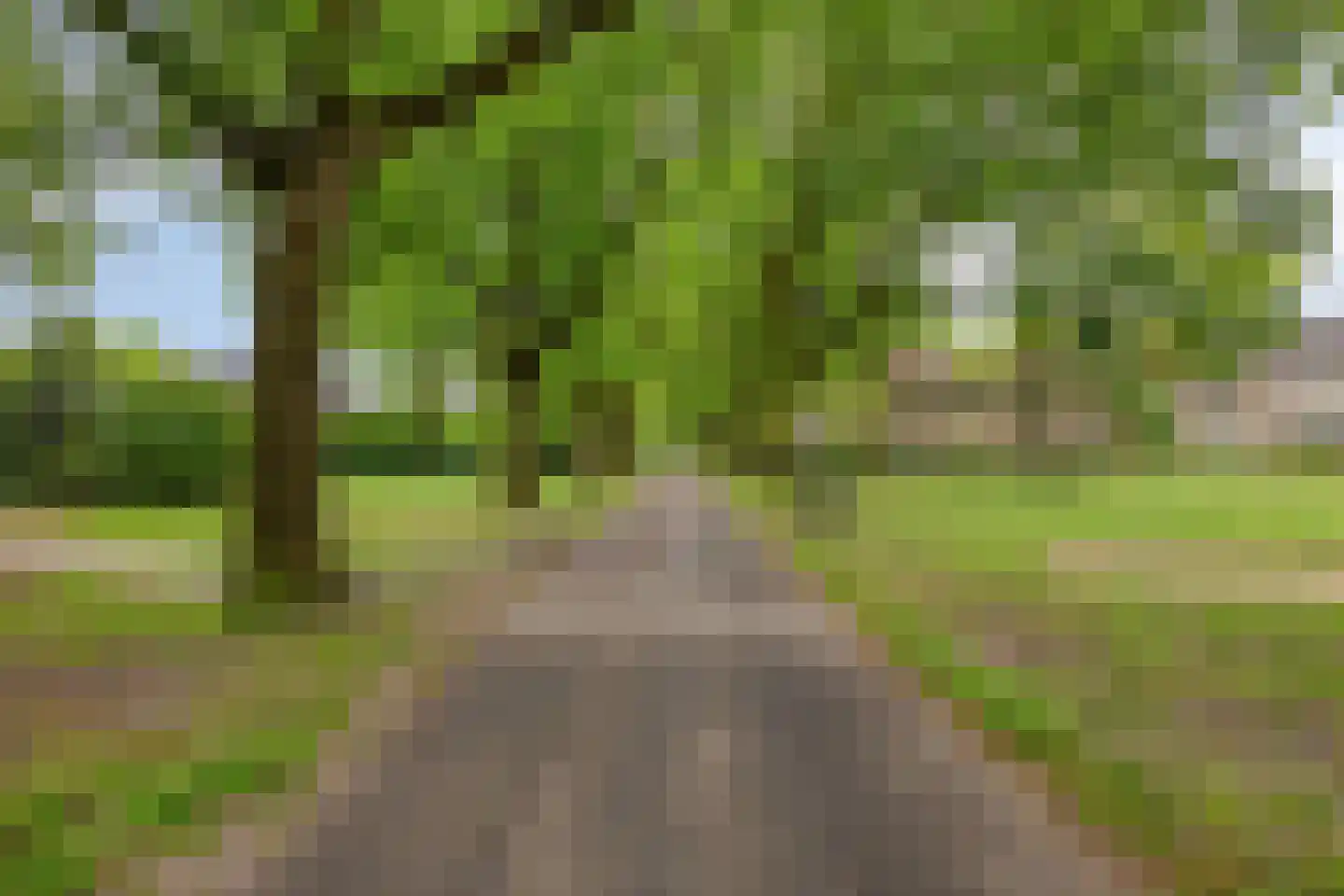 Staringstraat 482 Oss thumbnail 46