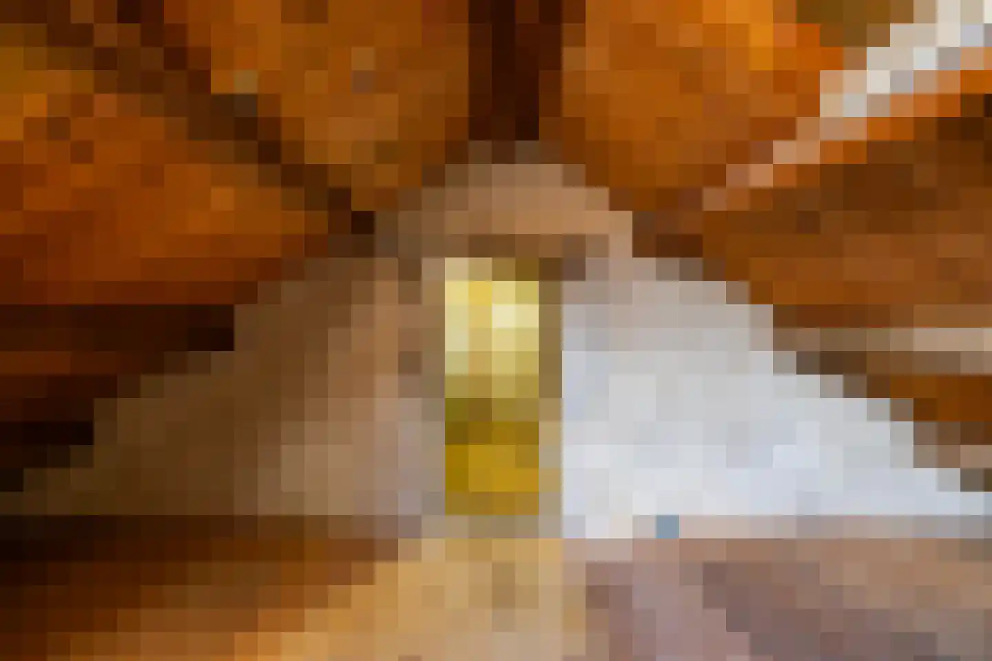 Staringstraat 5 Groningen thumbnail 31