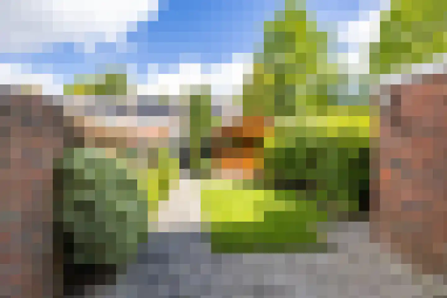 Staringstraat 5 Groningen thumbnail 36