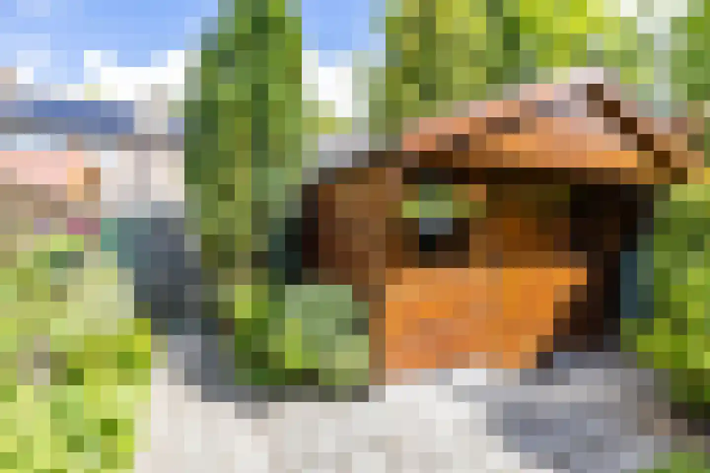 Staringstraat 5 Groningen thumbnail 38