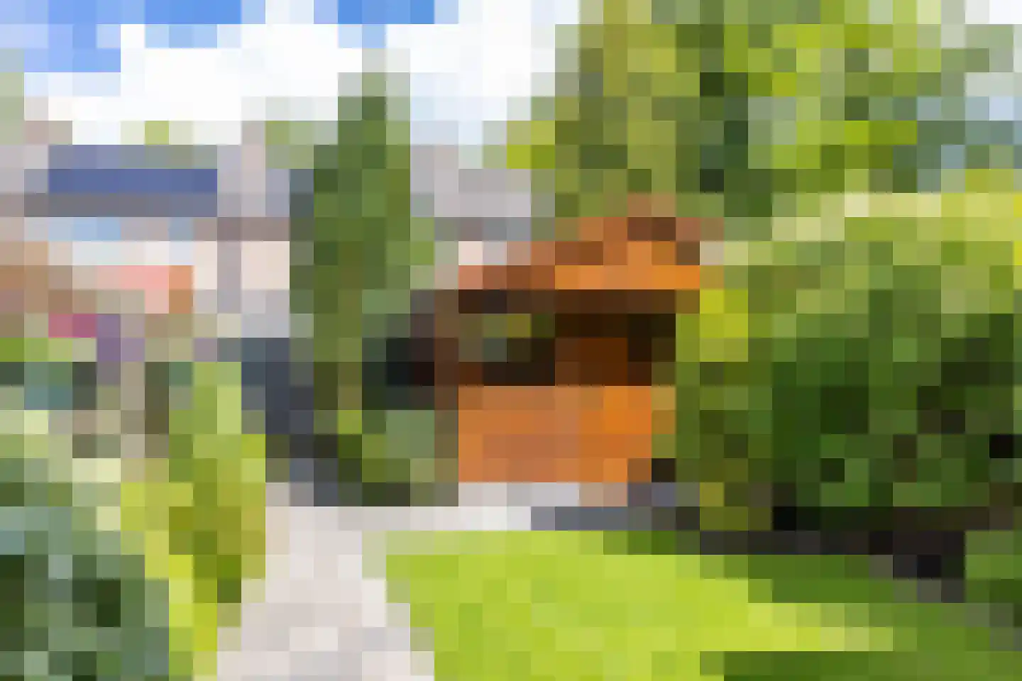 Staringstraat 5 Groningen thumbnail 4