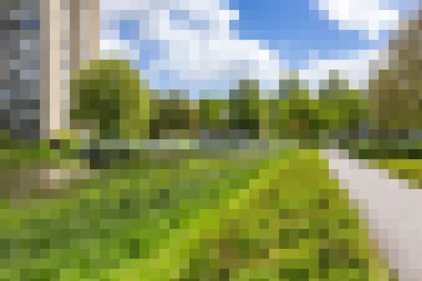 Staringstraat 5 Groningen thumbnail 45