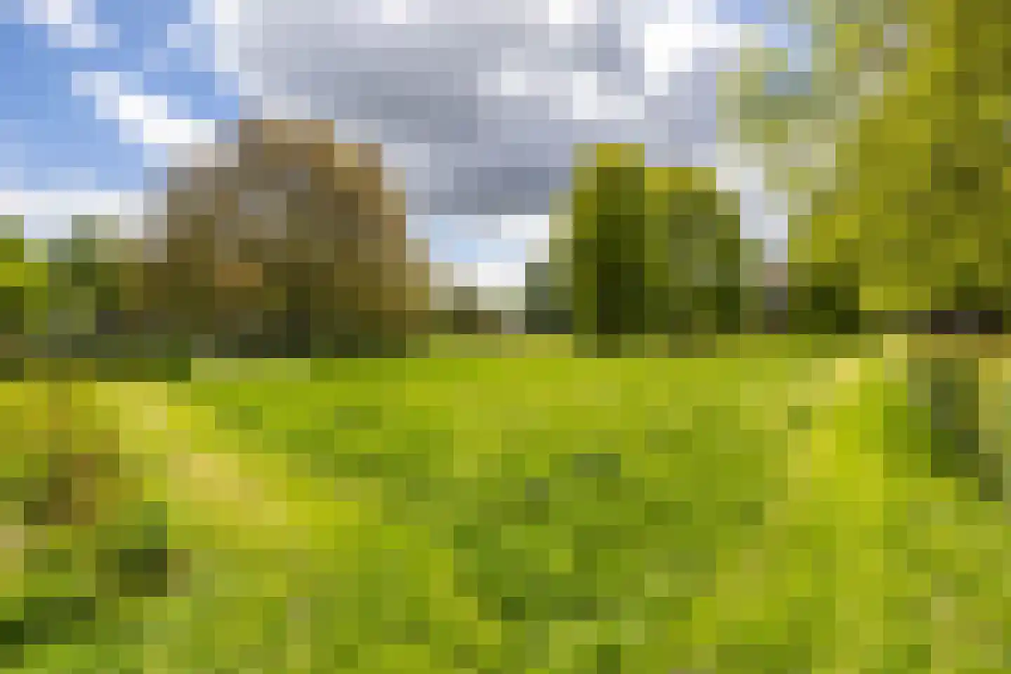 Staringstraat 5 Groningen thumbnail 48