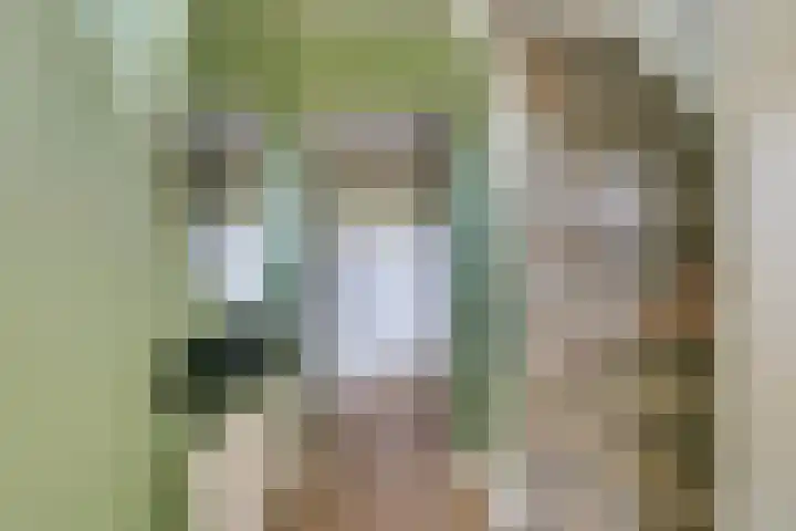 Staringstraat 5 Son en Breugel thumbnail 11