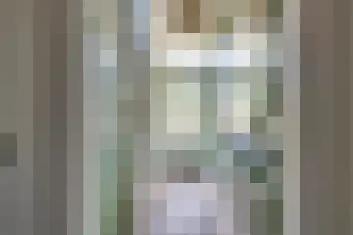 Staringstraat 5 Son en Breugel thumbnail 12