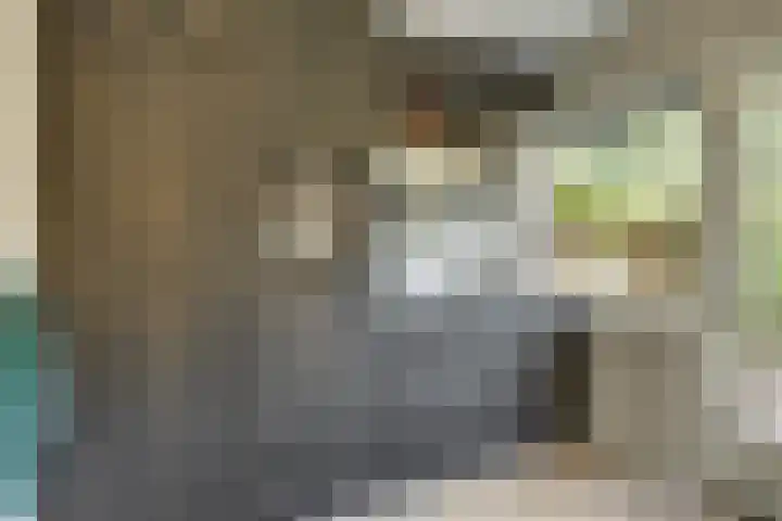 Staringstraat 5 Son en Breugel thumbnail 13