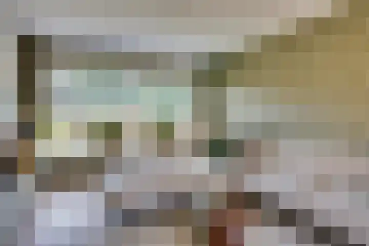 Staringstraat 5 Son en Breugel thumbnail 23