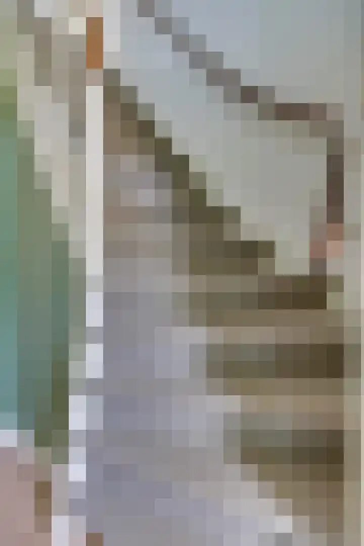 Staringstraat 5 Son en Breugel thumbnail 29