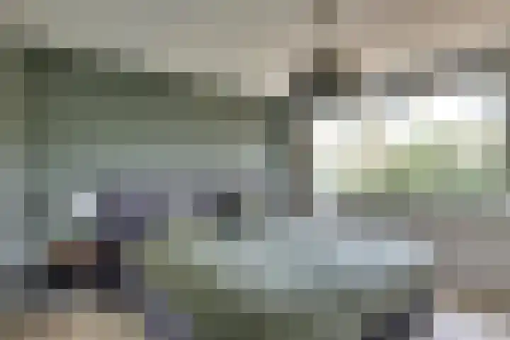 Staringstraat 5 Son en Breugel thumbnail 32