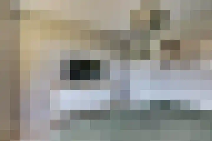 Staringstraat 5 Son en Breugel thumbnail 33