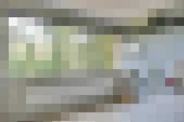 Staringstraat 5 Son en Breugel thumbnail 34