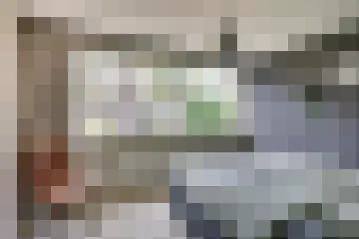 Staringstraat 5 Son en Breugel thumbnail 37