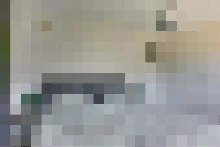 Staringstraat 5 Son en Breugel thumbnail 38