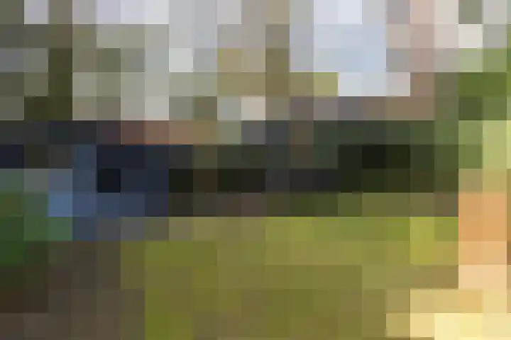 Staringstraat 5 Son en Breugel thumbnail 45