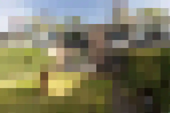 Staringstraat 5 Son en Breugel thumbnail 46