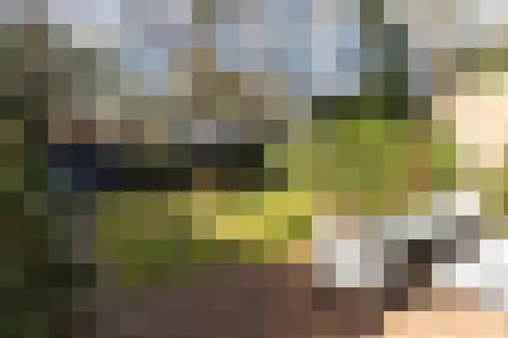 Staringstraat 5 Son en Breugel thumbnail 5