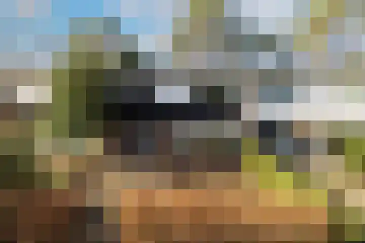 Staringstraat 5 Son en Breugel thumbnail 7