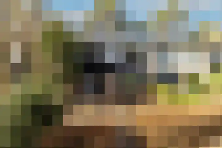 Staringstraat 5 Son en Breugel thumbnail 8