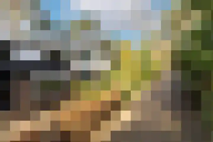 Staringstraat 5 Son en Breugel thumbnail 9