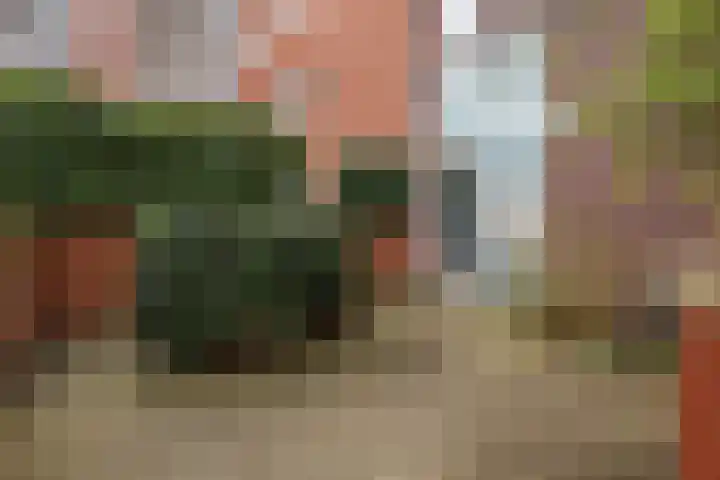 Staringstraat 6 Arnhem thumbnail 5