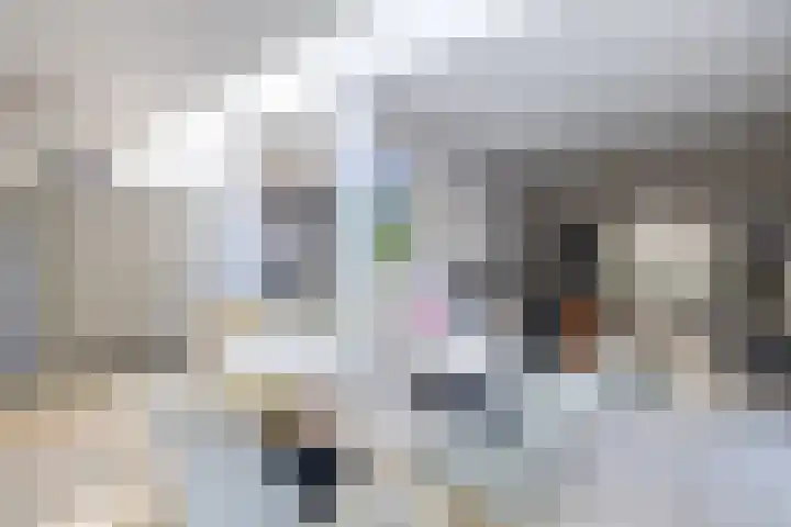 Staringstraat 6 Eindhoven thumbnail 19