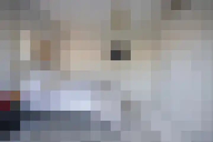Staringstraat 6 Eindhoven thumbnail 26