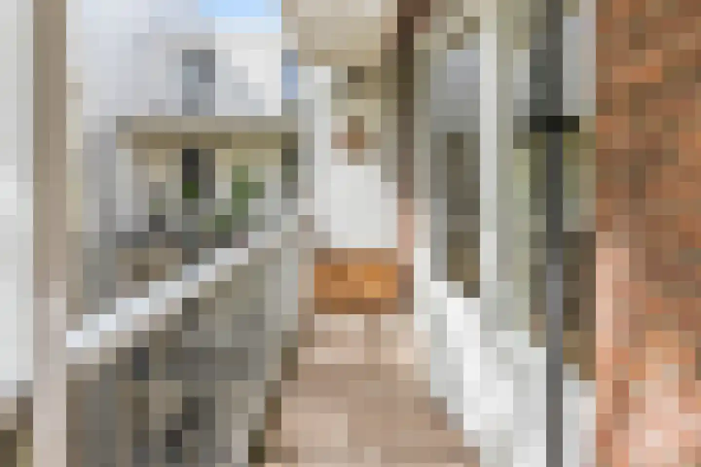 Staringstraat 6 H Amsterdam thumbnail 16