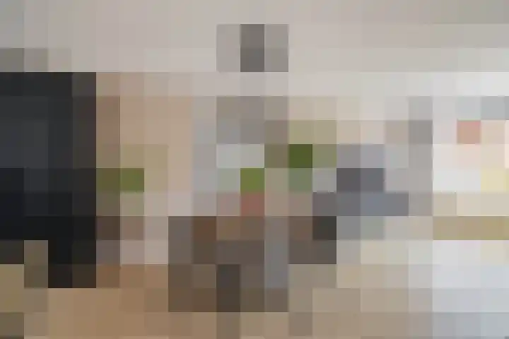 Staringstraat 61 Zevenhuizen thumbnail 10