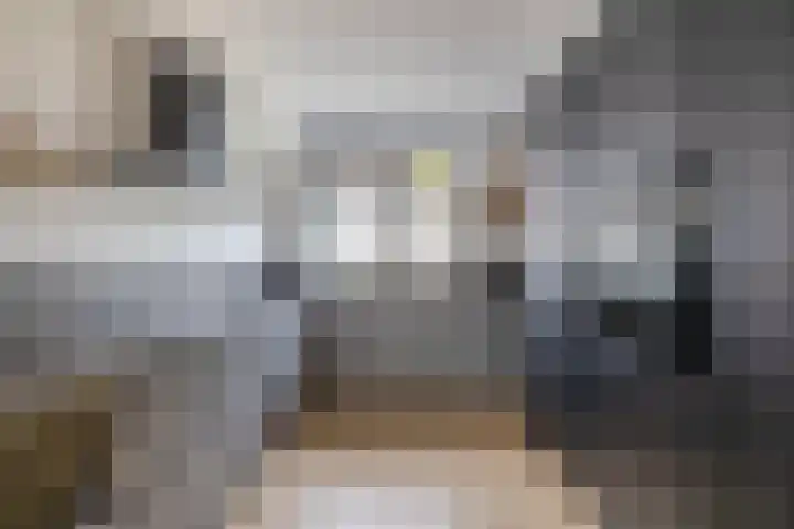 Staringstraat 61 Zevenhuizen thumbnail 11