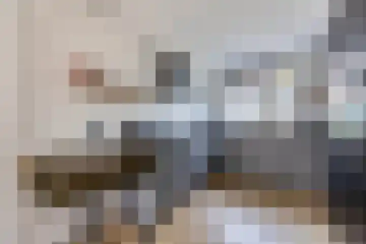 Staringstraat 61 Zevenhuizen thumbnail 12