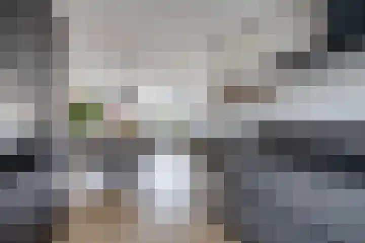 Staringstraat 61 Zevenhuizen thumbnail 15