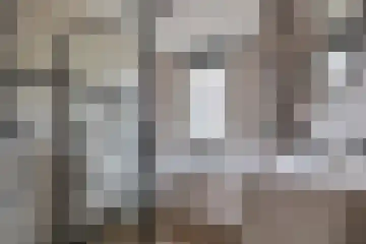 Staringstraat 61 Zevenhuizen thumbnail 23